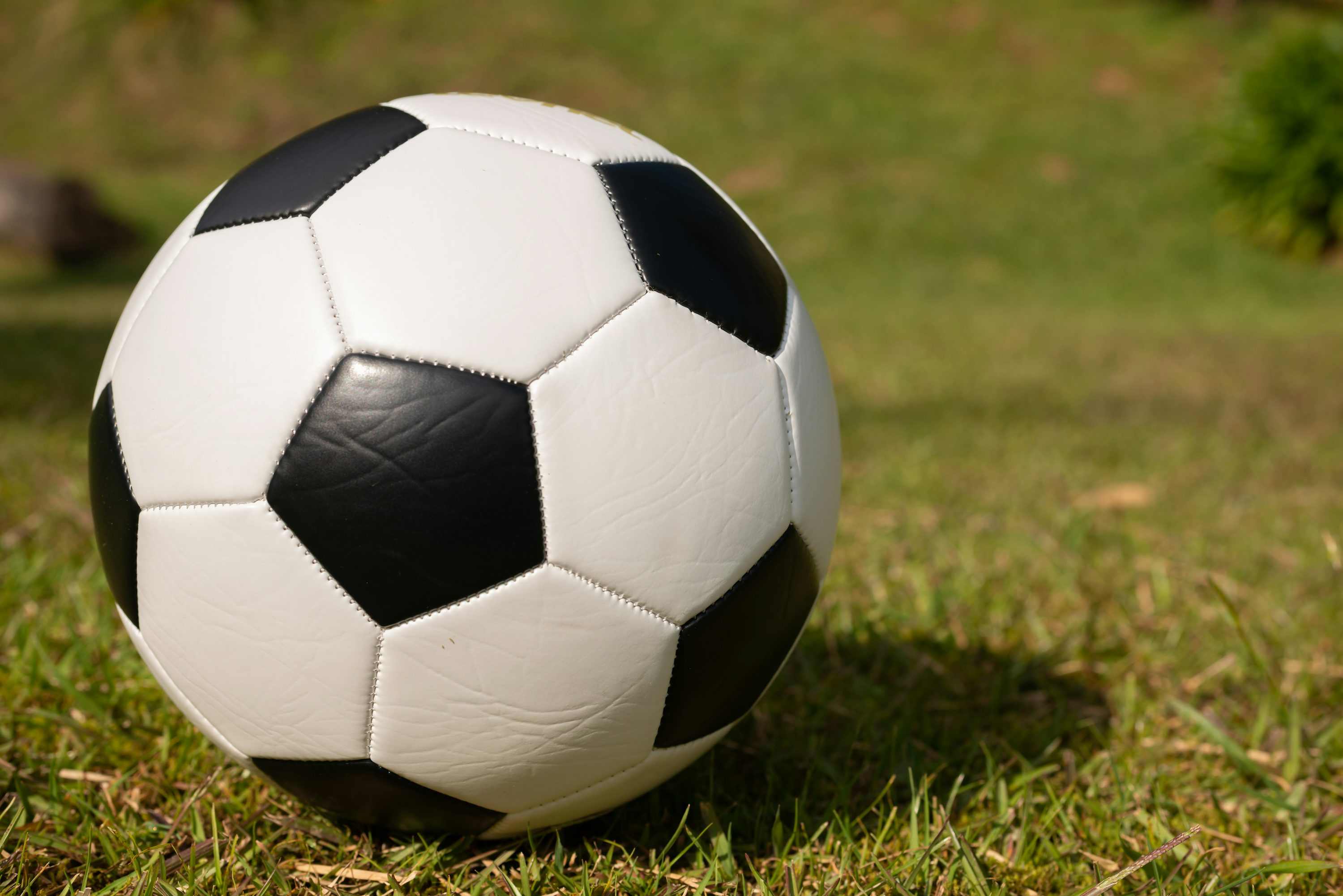 a soccer ball on a grass field